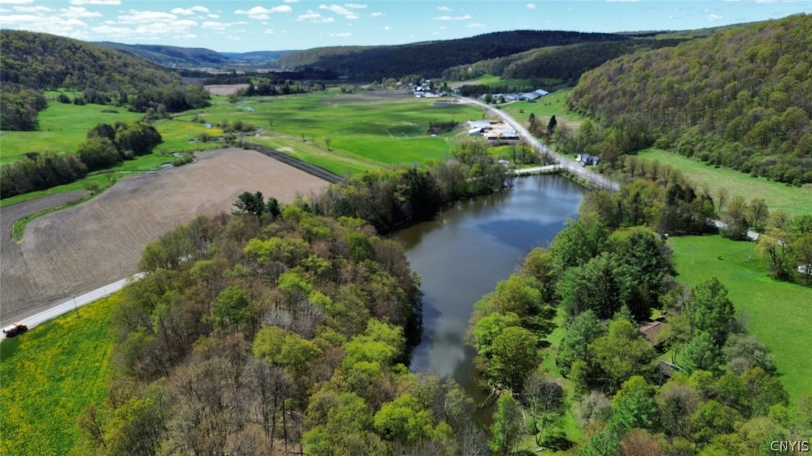 1720 County Route 12 De Ruyter, NY 13052 - Photo 43 of 49