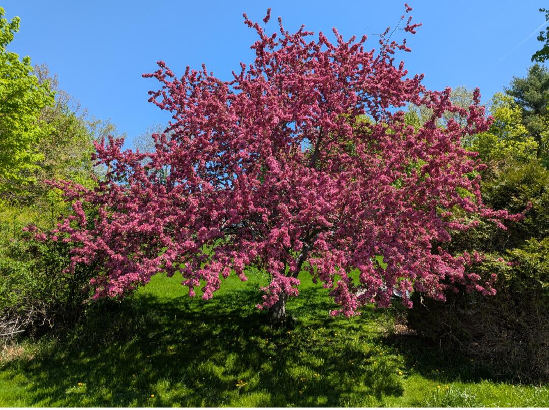 11 Beaver Hill Road Sanford, ME 04083 - Photo 26 of 29 25 beav