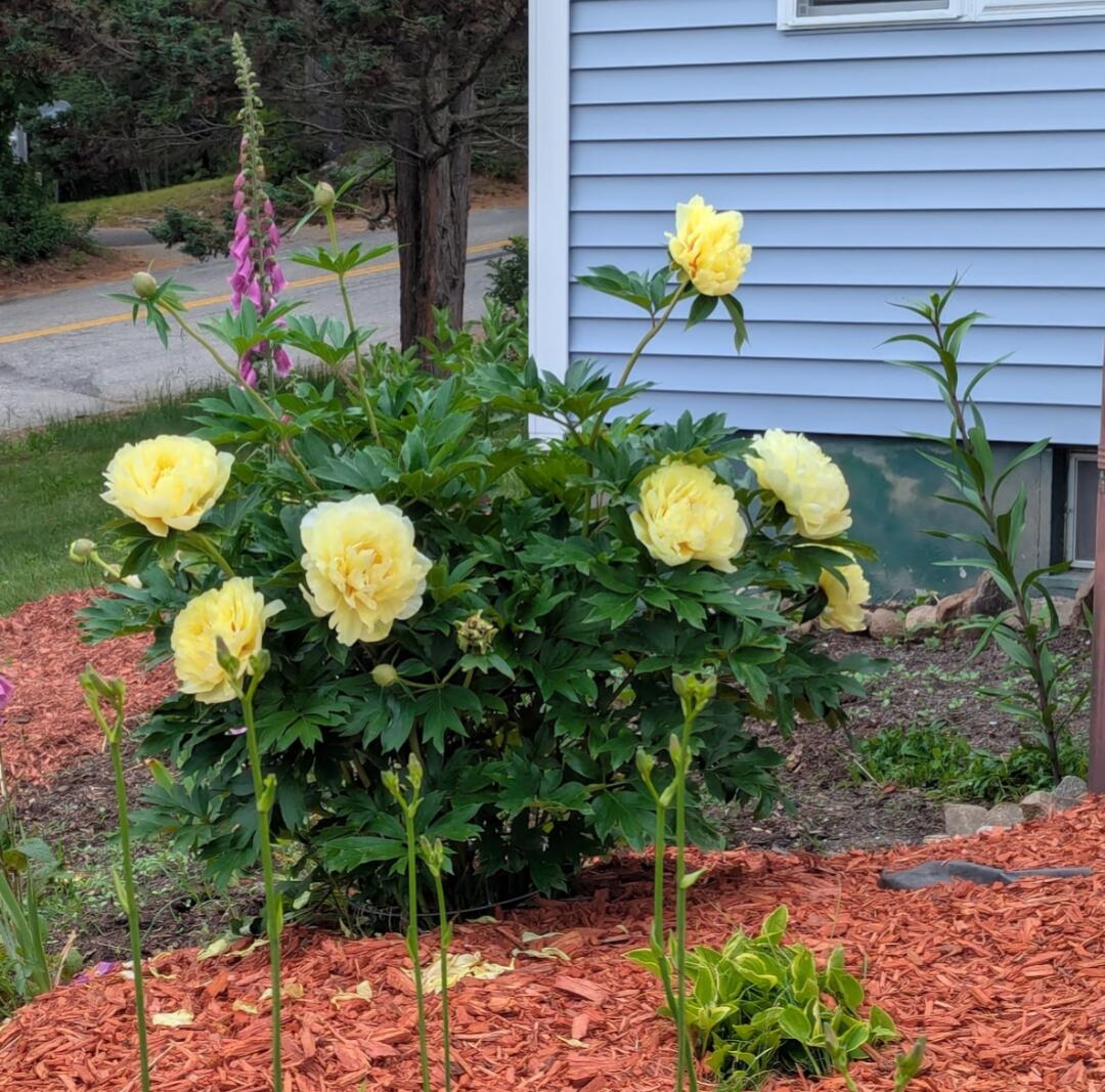 11 Beaver Hill Road Sanford, ME 04083 - Photo 27 of 29 26 beav
