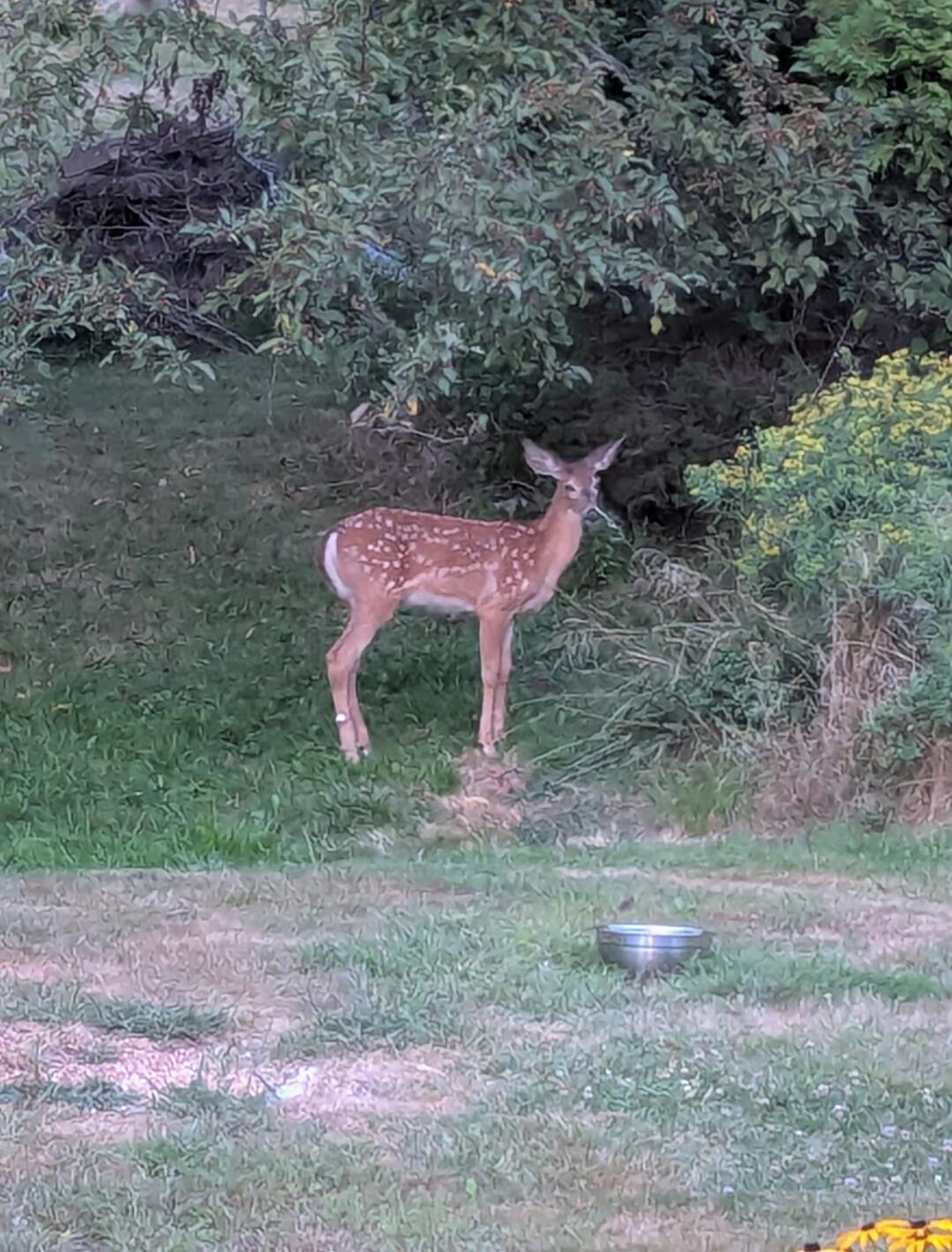 11 Beaver Hill Road Sanford, ME 04083 - Photo 29 of 29 28 beav