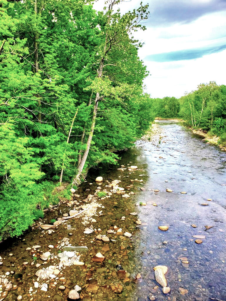 434 Toothaker Pond Road Phillips, ME 04966 - Photo 1 of 20 20210526143547928425000000-o