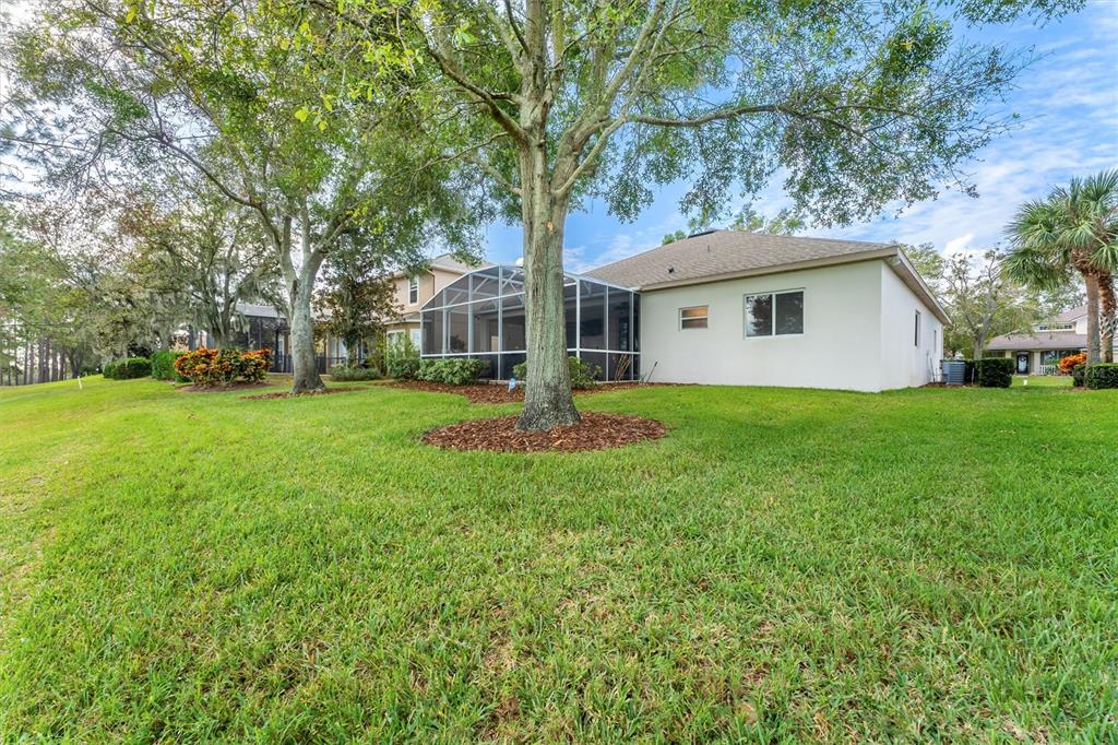 3984 Beacon Ridge Way Clermont, FL 34711 - Photo 40 of 59 Backyard