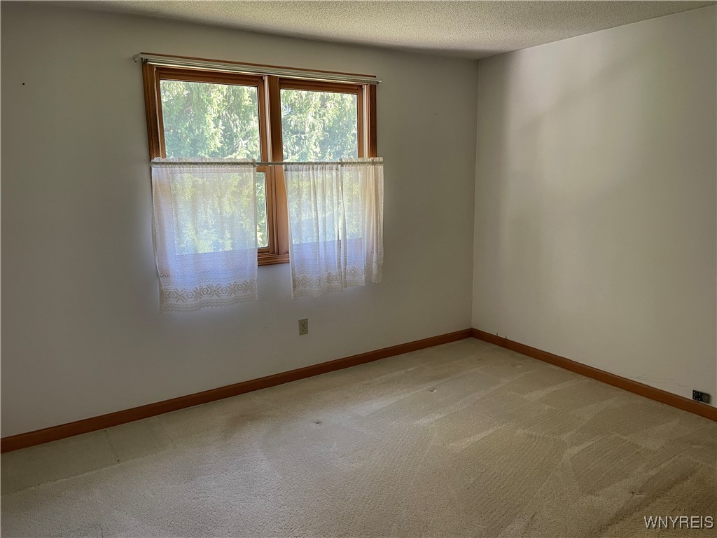 62 Lees Landing Elma, NY 14059 - Photo 17 of 27