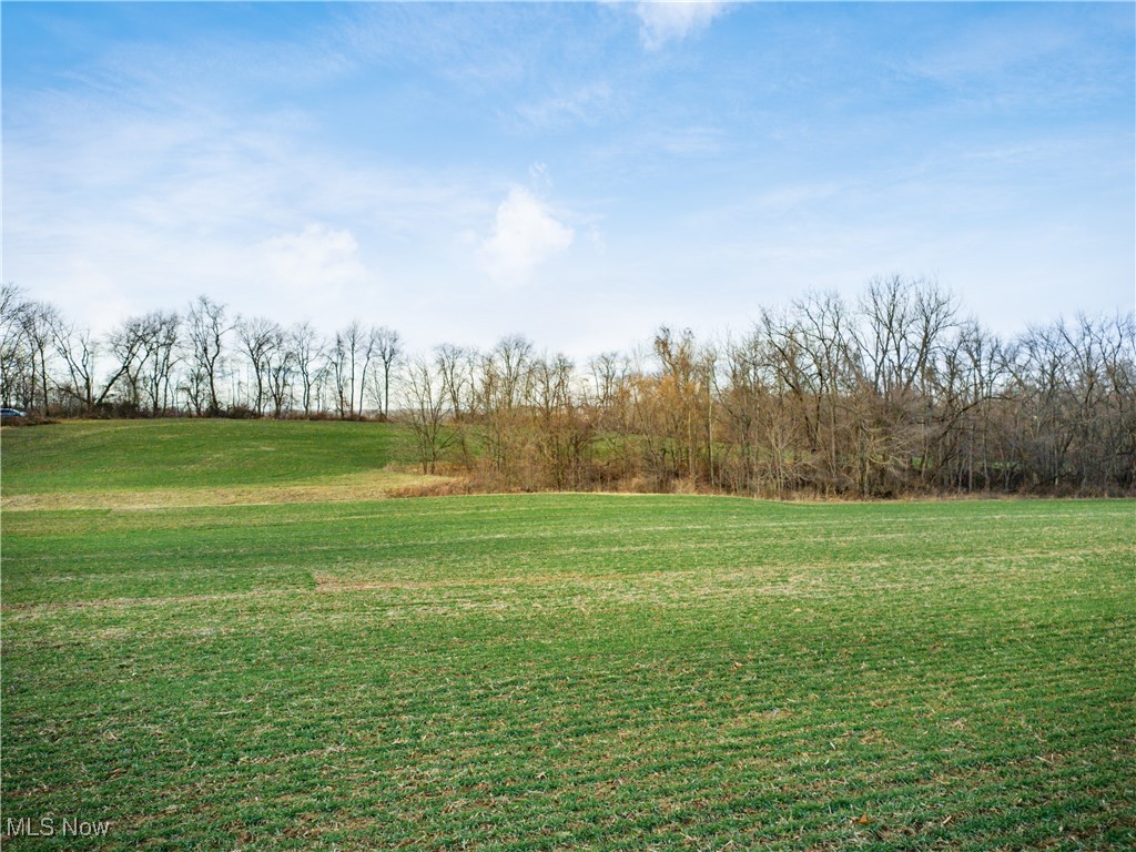 Carnation Road Nashport, OH 43830 - Photo 7 of 10