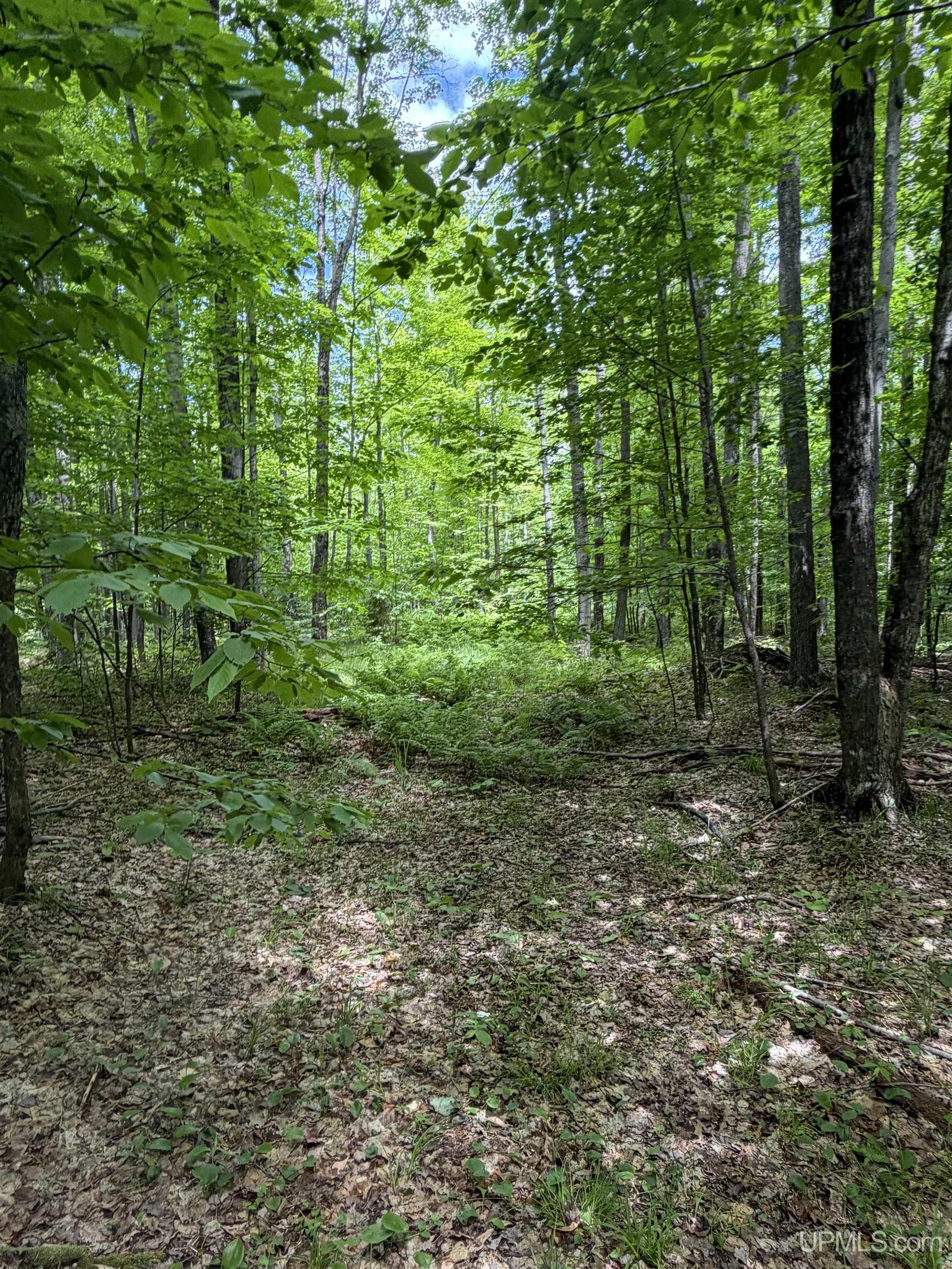 Tbd20 Skanee Road Skanee, MI 49962 - Photo 19 of 26