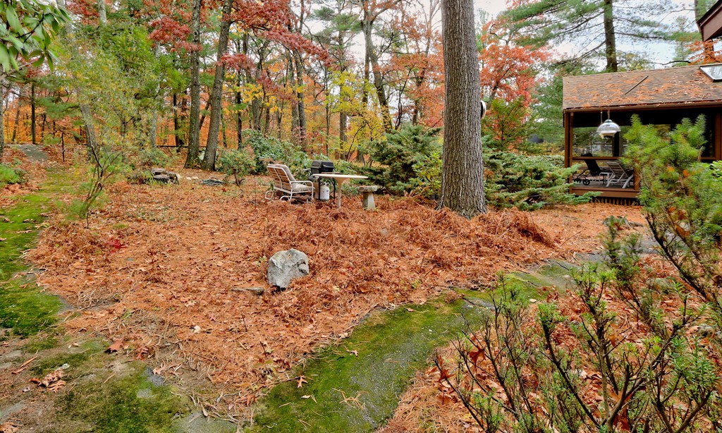 42 Barney Hill Road Wayland, MA 01778 - Photo 26 of 29 Gallery Image 26