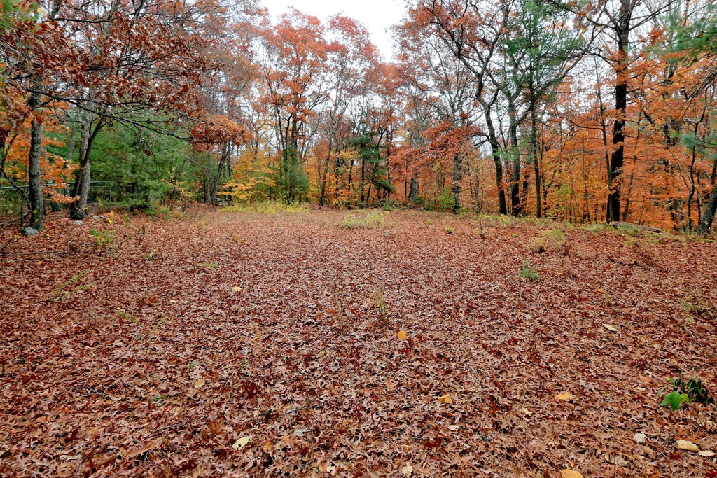 42 Barney Hill Road Wayland, MA 01778 - Photo 29 of 29 Gallery Image 29