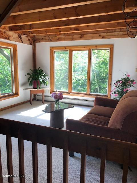 7 Noppet Road Lanesborough, MA 01237 - Photo 18 of 42 a living room with furniture and a potted plant