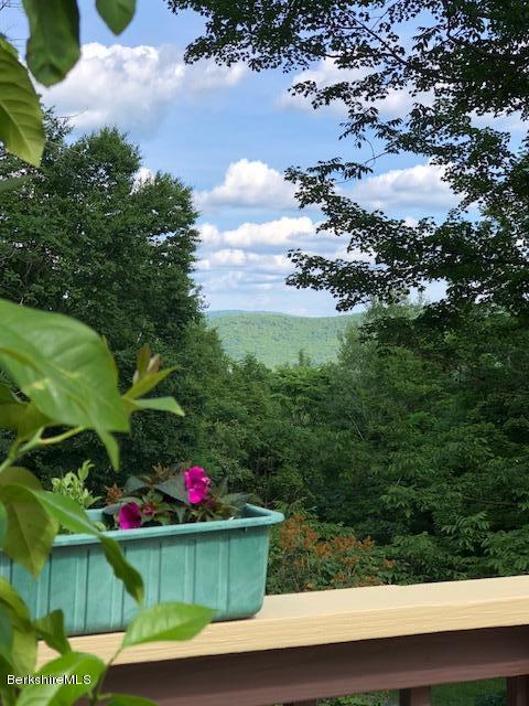 7 Noppet Road Lanesborough, MA 01237 - Photo 24 of 42 a view of a outdoor space