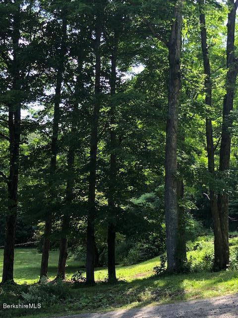 7 Noppet Road Lanesborough, MA 01237 - Photo 34 of 42 a view of a yard with large trees