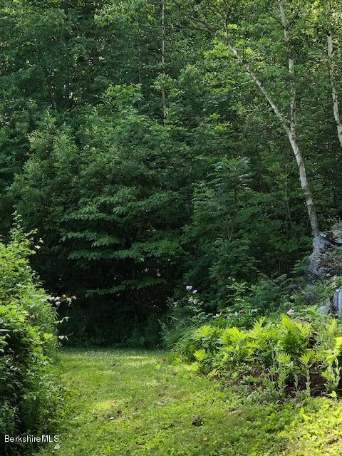 7 Noppet Road Lanesborough, MA 01237 - Photo 35 of 42 a view of outdoor space and yard