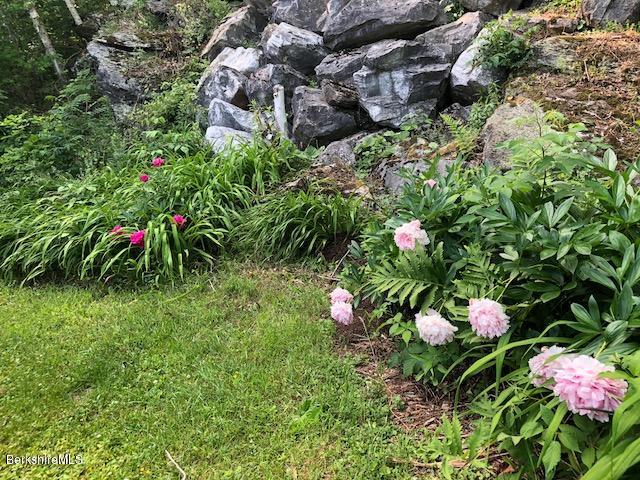 7 Noppet Road Lanesborough, MA 01237 - Photo 36 of 42 a plant that is in a garden