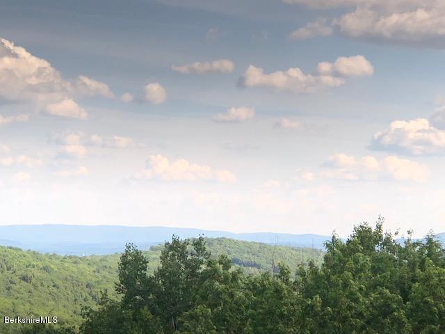 7 Noppet Road Lanesborough, MA 01237 - Photo 6 of 42 a view of a bunch of trees in back