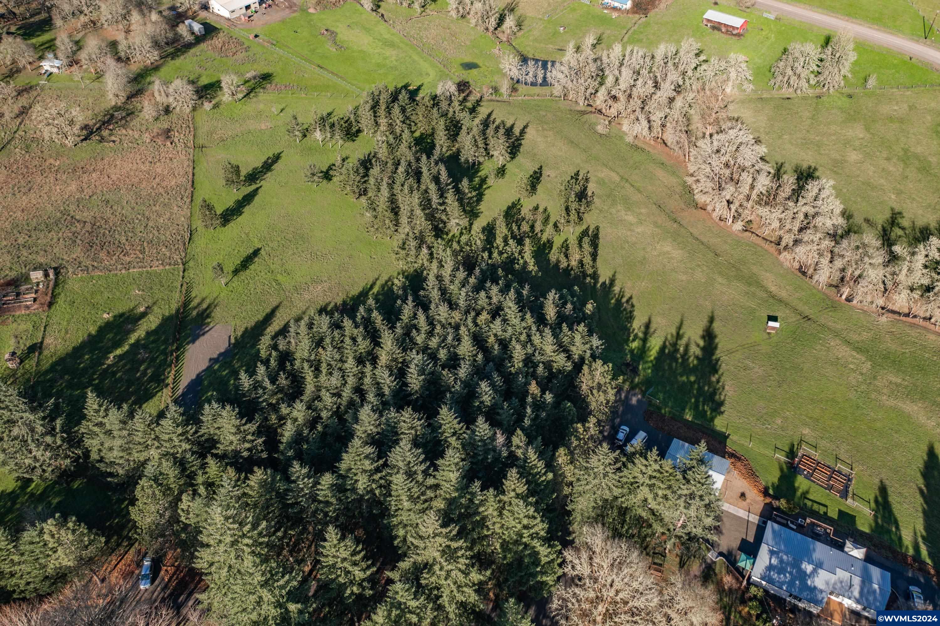 Buck Hill Lane Lebanon, OR 97355 - Photo 10 of 31