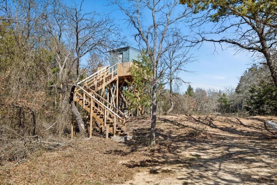 298 Greanead Road Forestburg, TX 76239 - Photo 32 of 38 a view of a yard with a tree