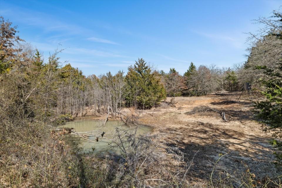 298 Greanead Road Forestburg, TX 76239 - Photo 35 of 38 a view of ocean view with large trees