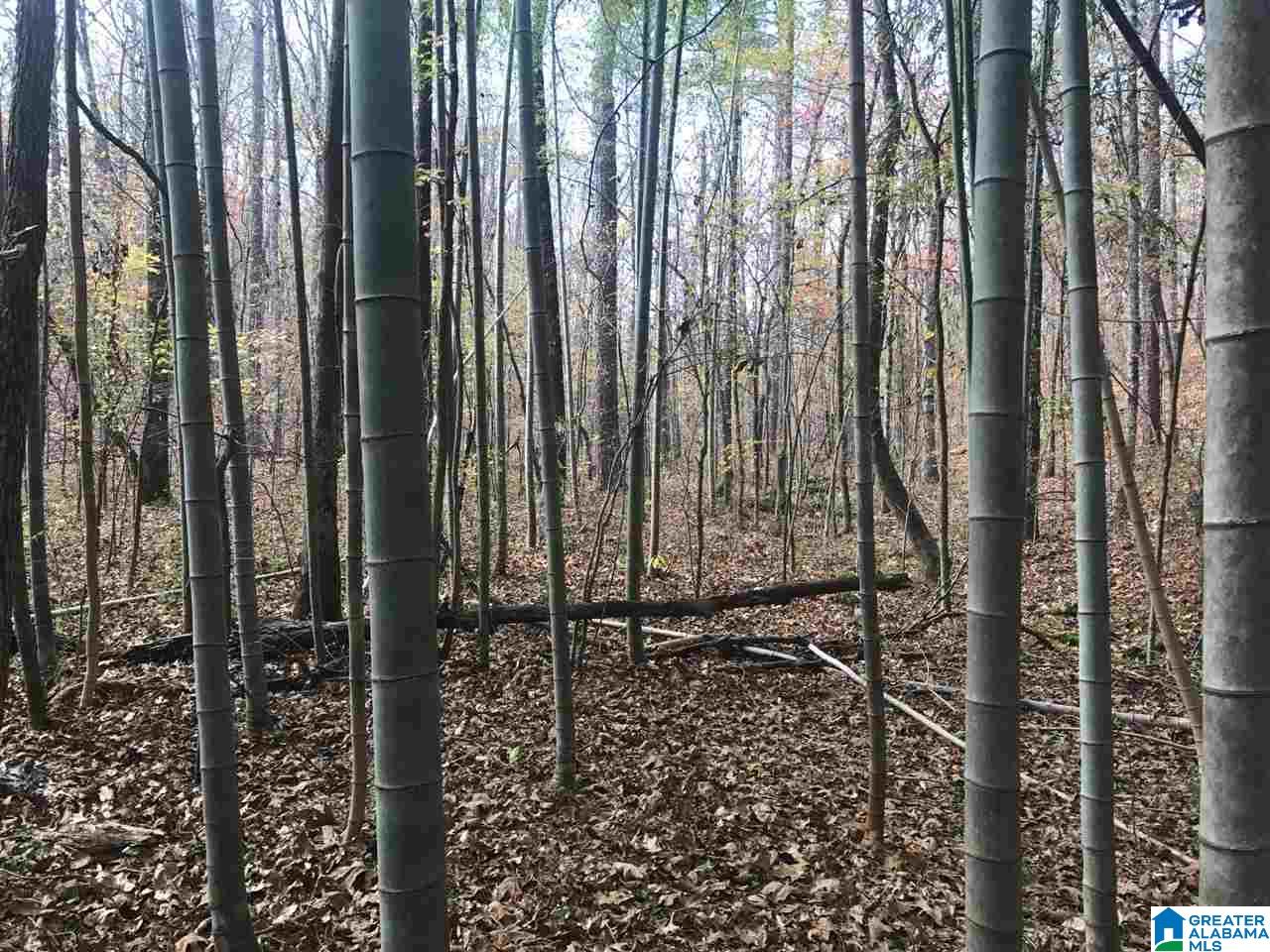 3415 Logan Martin Dam Road, Unit 48 / ACRES Vincent, AL 35178 - Photo 25 of 32