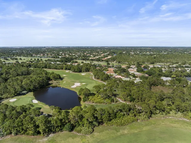 an aerial view of residential houses with city view