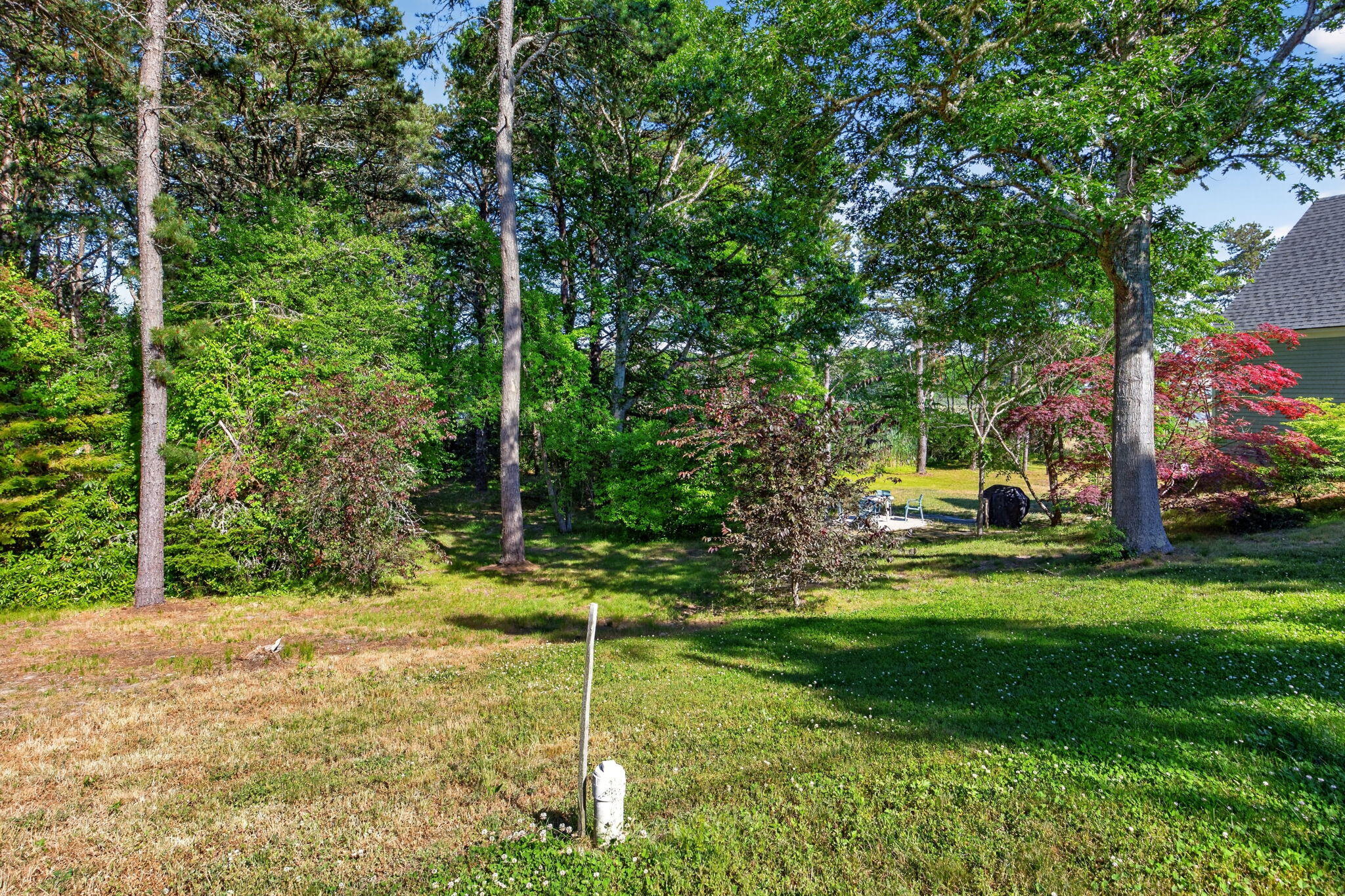 19 Aunt Debbys Road Dennis, MA 02639 - Photo 29 of 74 33-8P0A3907