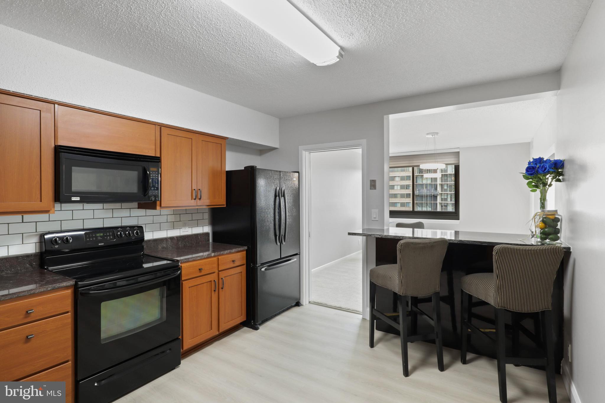5501 Seminary Road, Unit 1904S Falls Church, VA 22041 - Photo 3 of 48 Gallery Image 3