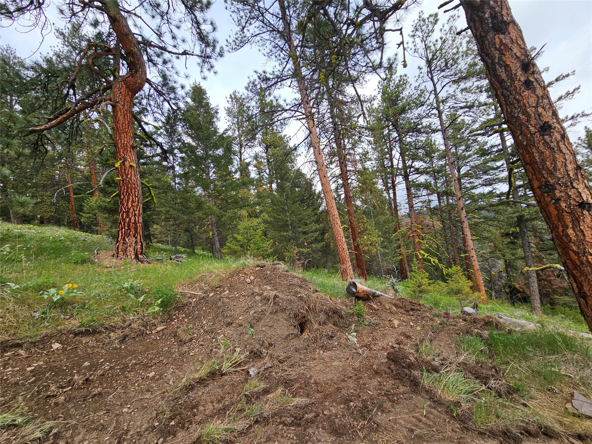 18866 Copper Rdg Trail Florence, MT 59833 - Photo 43 of 139 Gallery Image 43