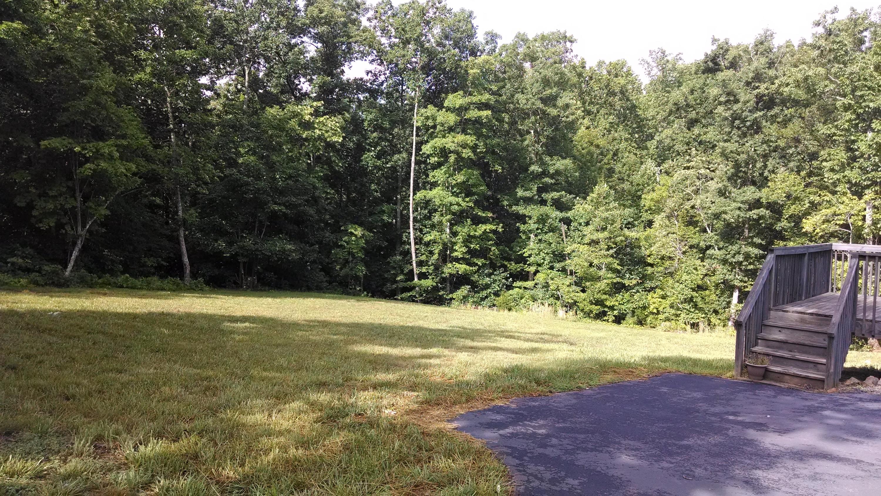 1342 Cinnamon Ridge Road Moneta, VA 24121 - Photo 3 of 23 Great Backyard
