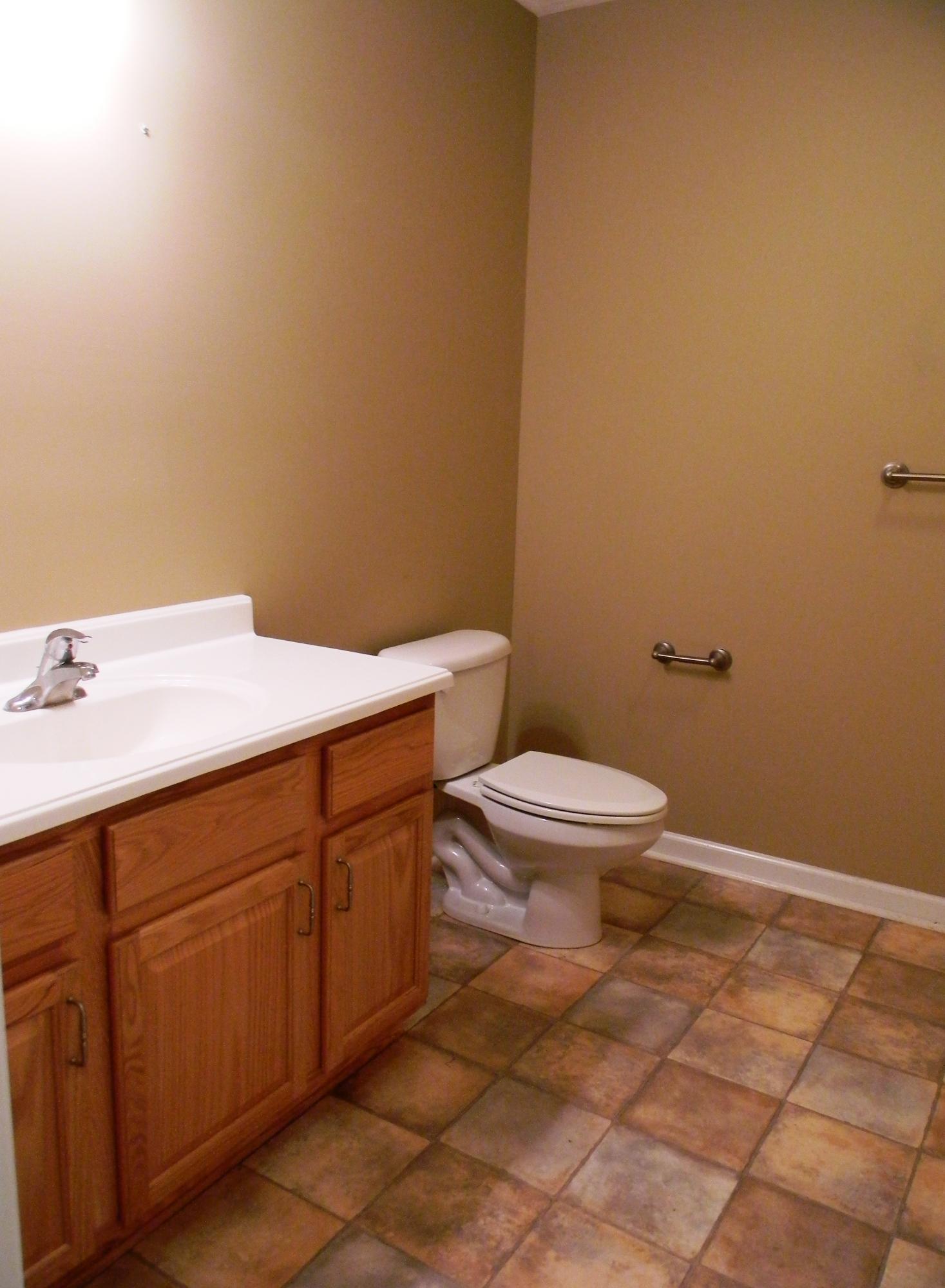 1342 Cinnamon Ridge Road Moneta, VA 24121 - Photo 8 of 23 1342 Cinnamon Ridge Road (14)
