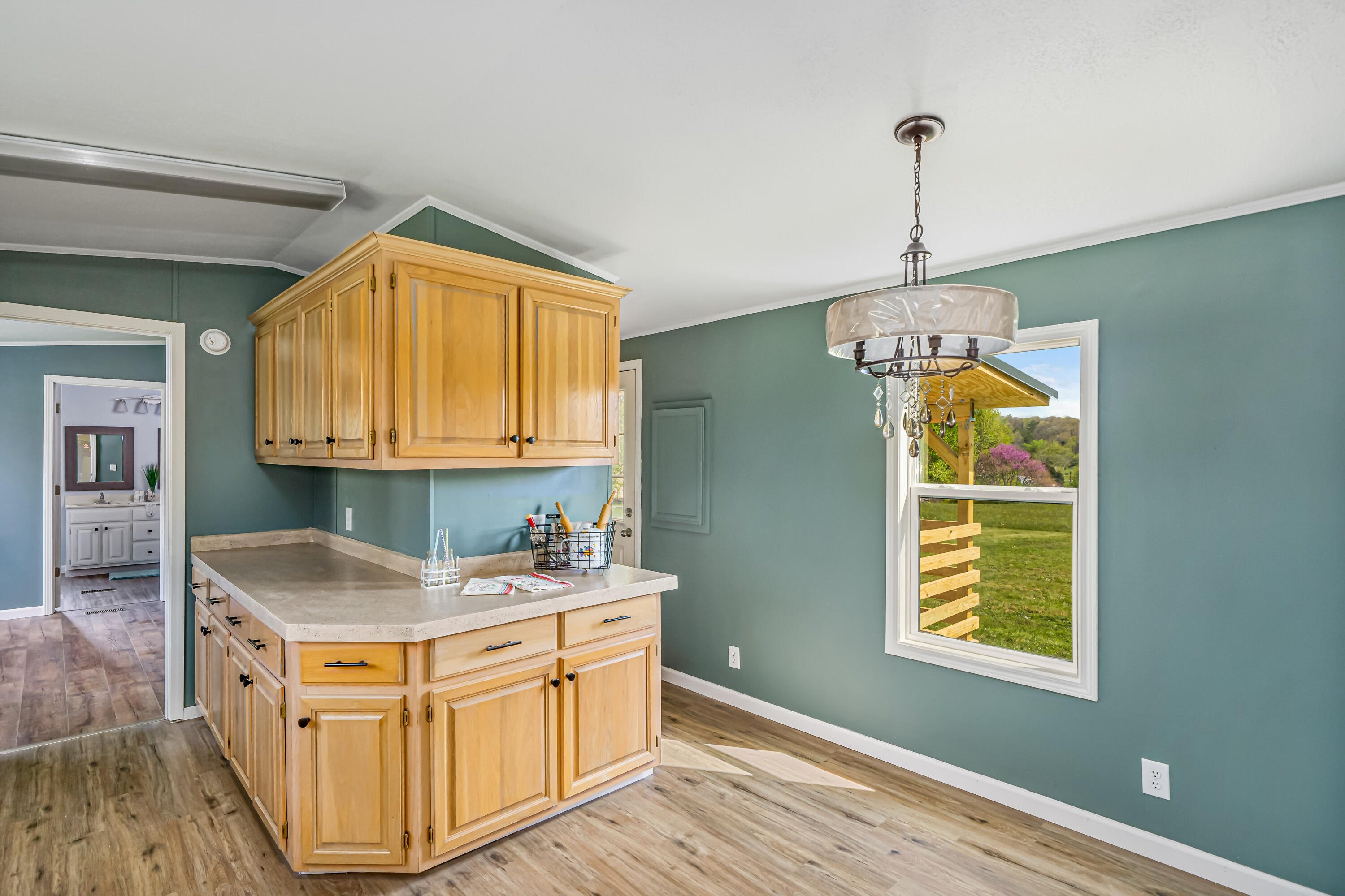 1217 Hickory Tree Road Bristol, TN 37620 - Photo 13 of 20 kitchen