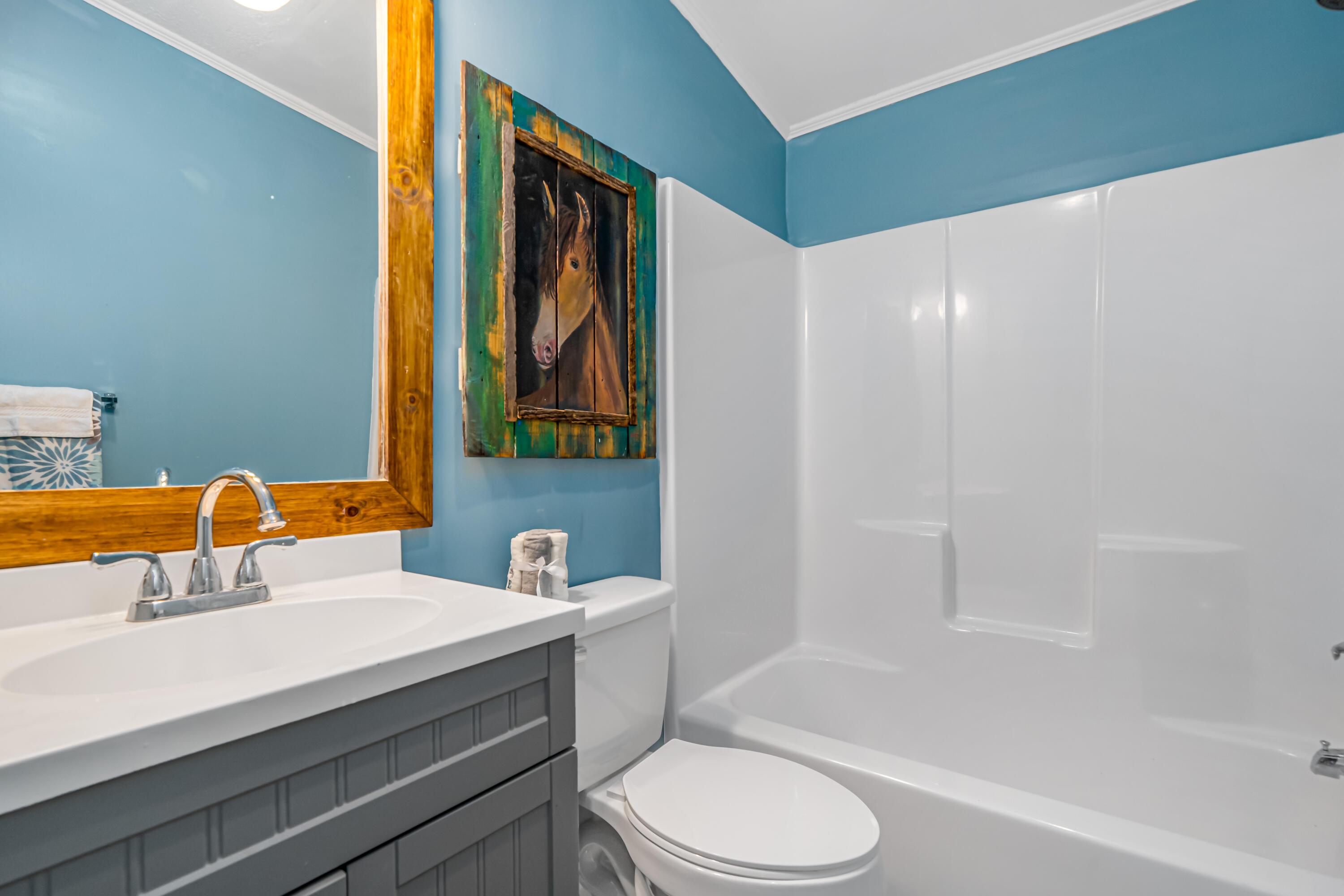 1217 Hickory Tree Road Bristol, TN 37620 - Photo 9 of 20 bathroom