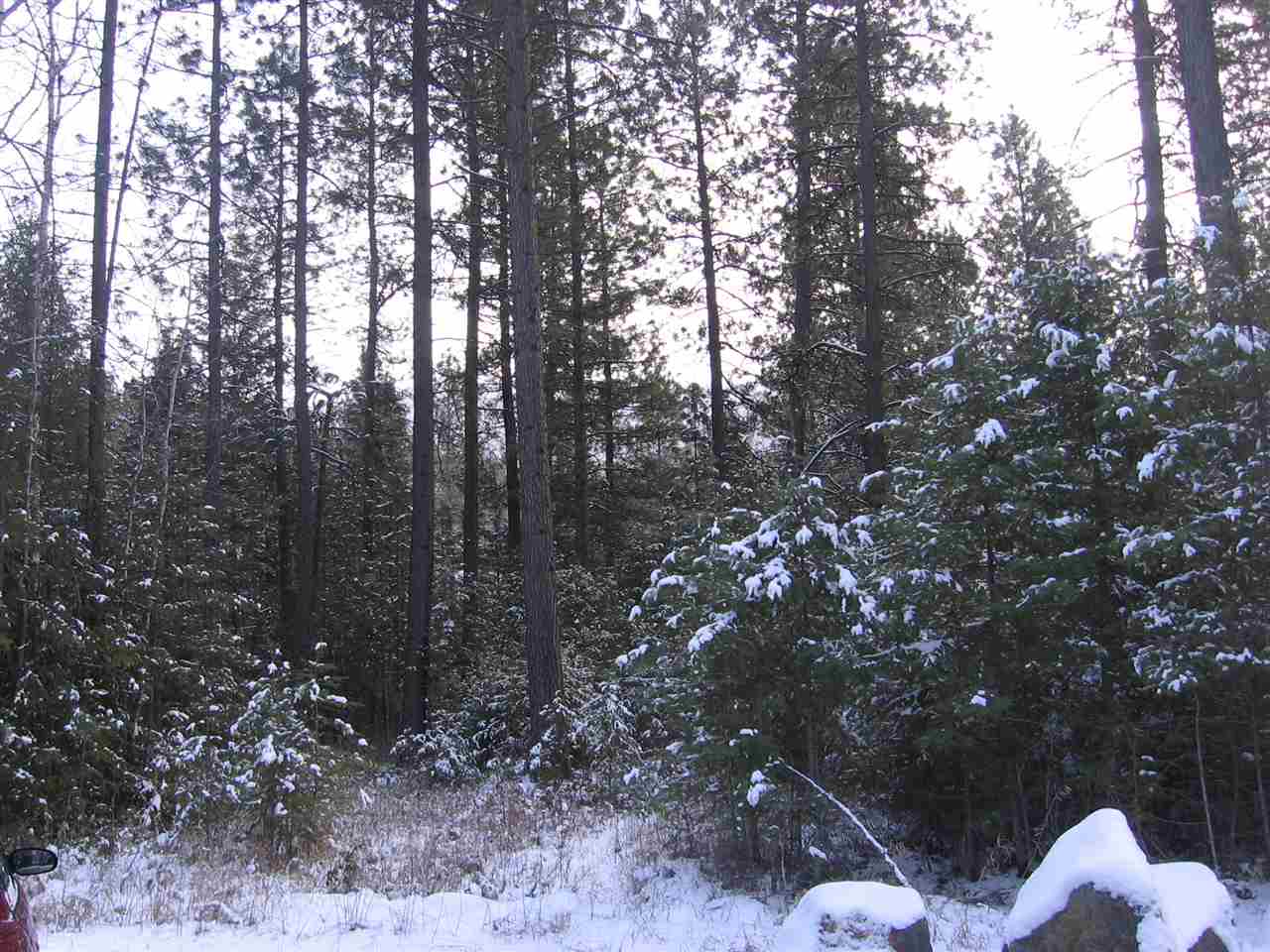 1068 Philleo Road Addy, WA 99101 - Photo 1 of 8 Gallery Image 1