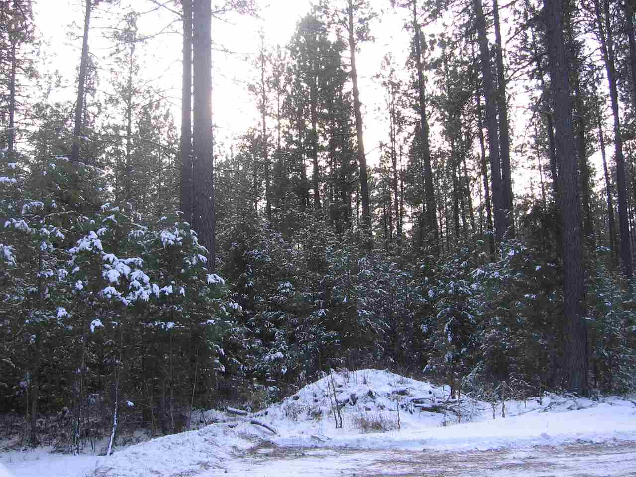 1068 Philleo Road Addy, WA 99101 - Photo 2 of 8 Gallery Image 2