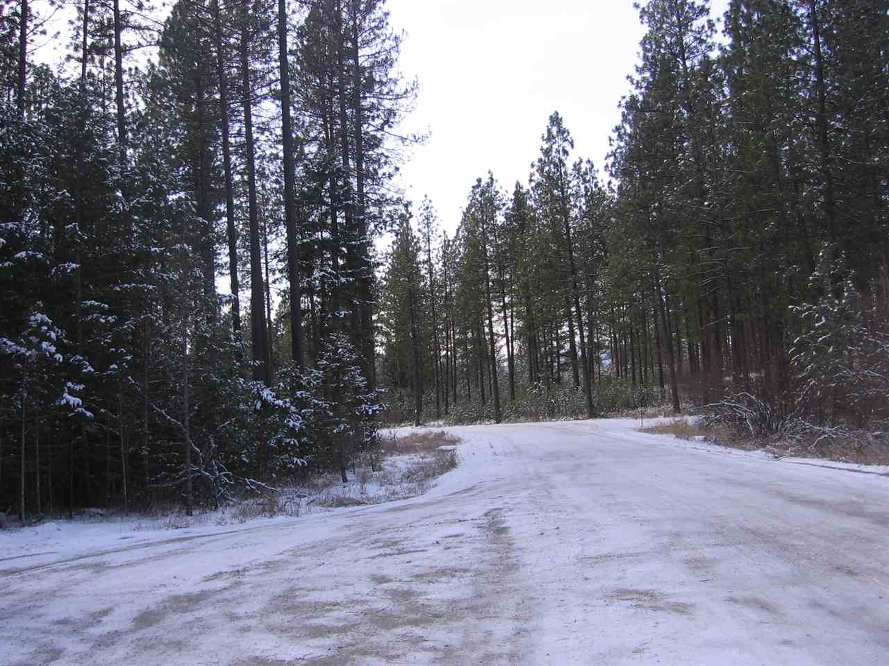 1068 Philleo Road Addy, WA 99101 - Photo 3 of 8 Gallery Image 3