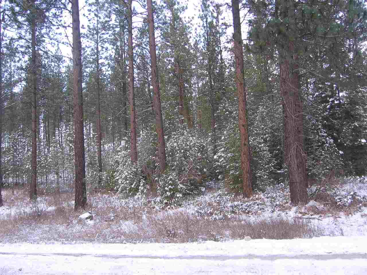 1068 Philleo Road Addy, WA 99101 - Photo 4 of 8 Gallery Image 4