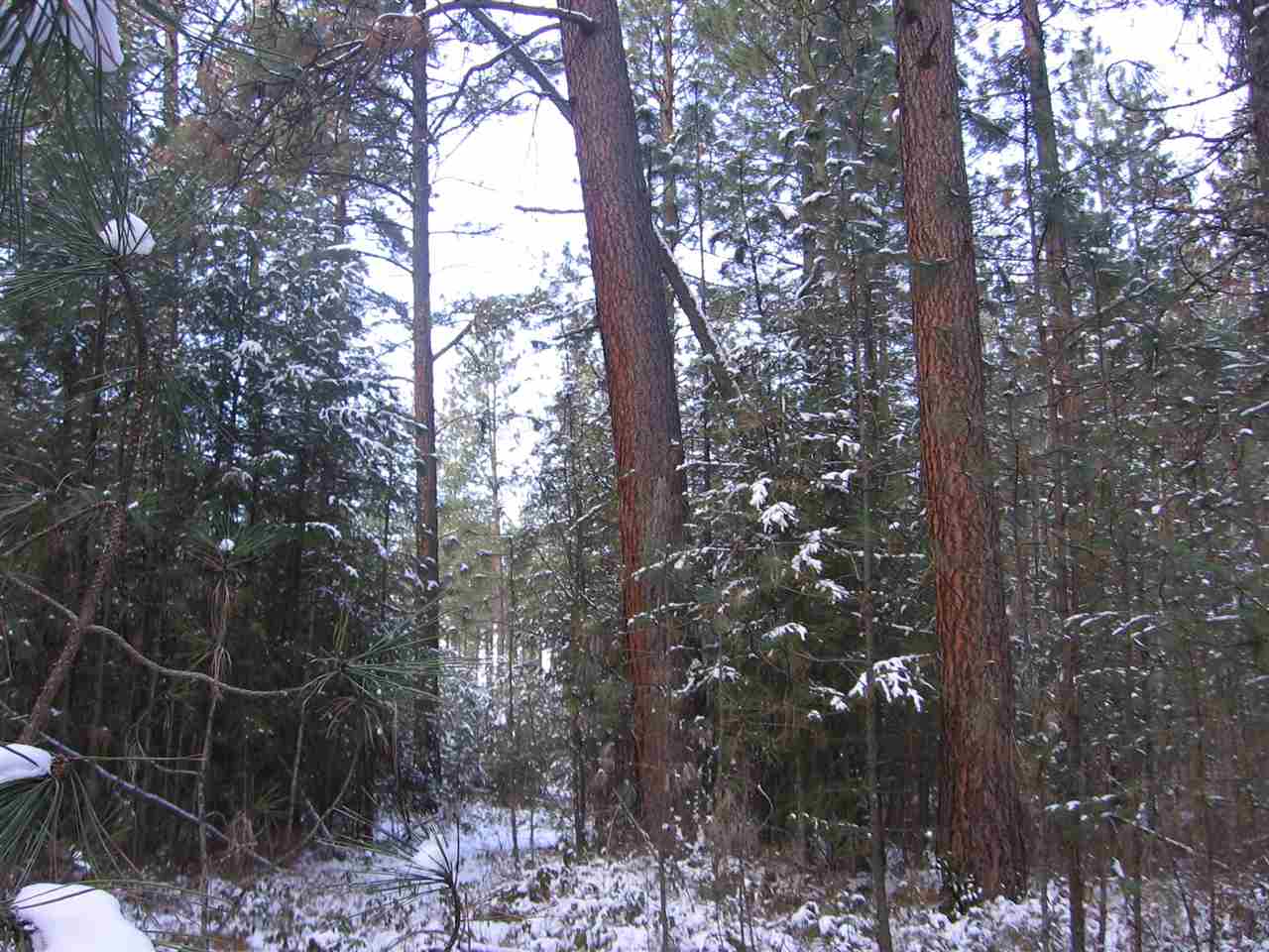 1068 Philleo Road Addy, WA 99101 - Photo 5 of 8 Gallery Image 5
