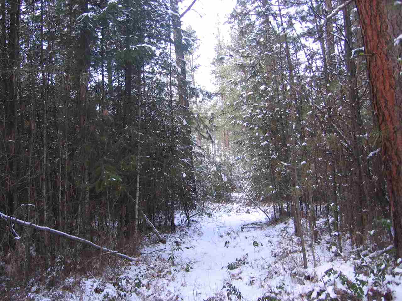 1068 Philleo Road Addy, WA 99101 - Photo 6 of 8 Gallery Image 6