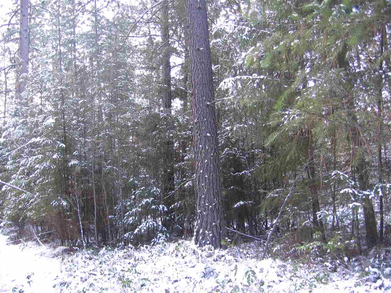 1068 Philleo Road Addy, WA 99101 - Photo 7 of 8 Gallery Image 7
