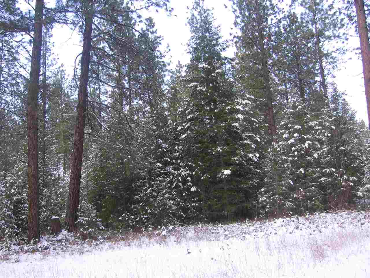 1068 Philleo Road Addy, WA 99101 - Photo 8 of 8 Gallery Image 8
