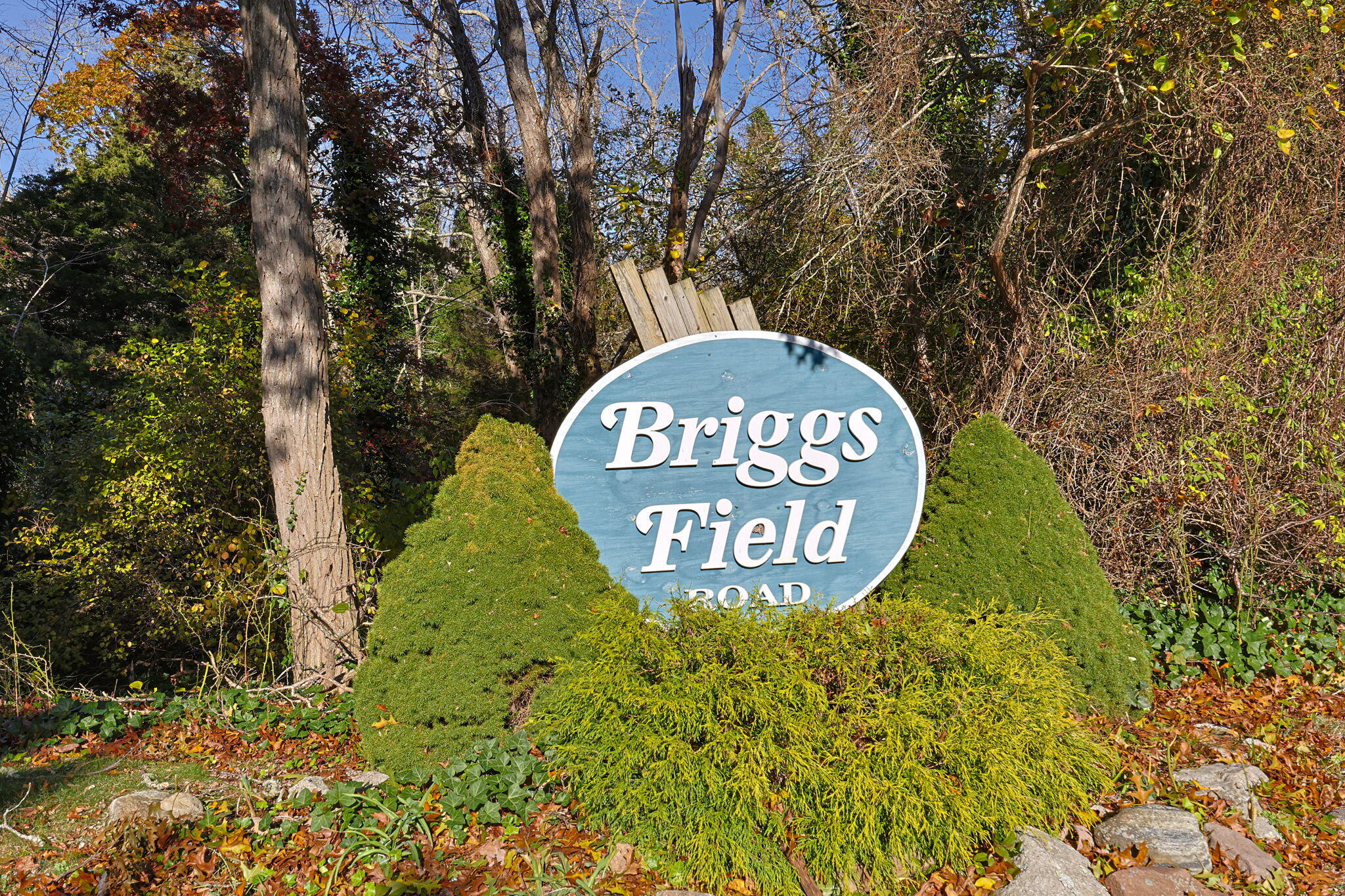 60 Briggs Field Road Eastham, MA 02642 - Photo 4 of 61 28-web-or-mls-60-briggs-field-rd