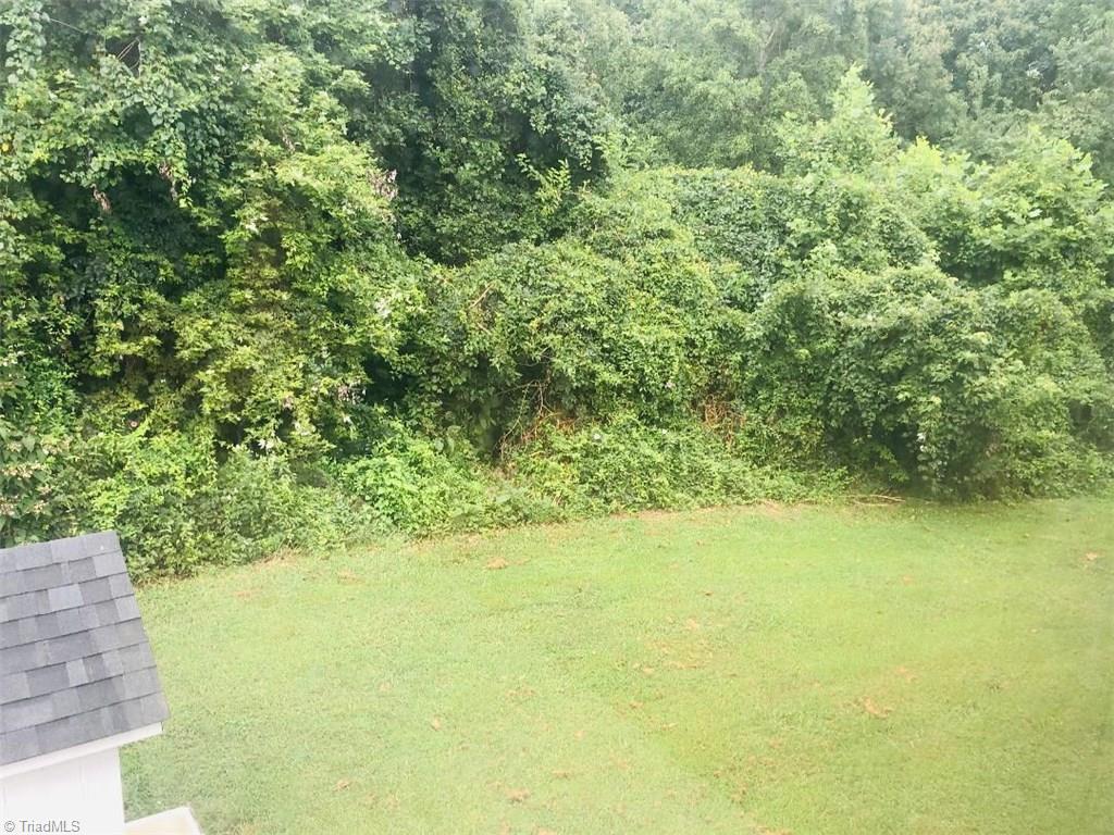1464 Fancy Gap Road Mount Airy, NC 27030 - Photo 5 of 27 Backyard
