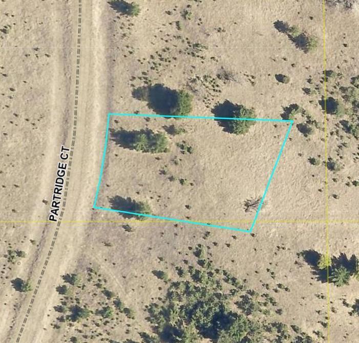 Tbd Partridge Court Browerville, MN 56438 - Photo 2 of 9