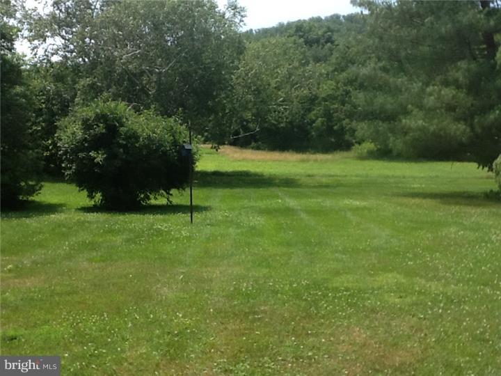 504 Old River Road Birdsboro, PA 19508 - Photo 13 of 22 Back Yard