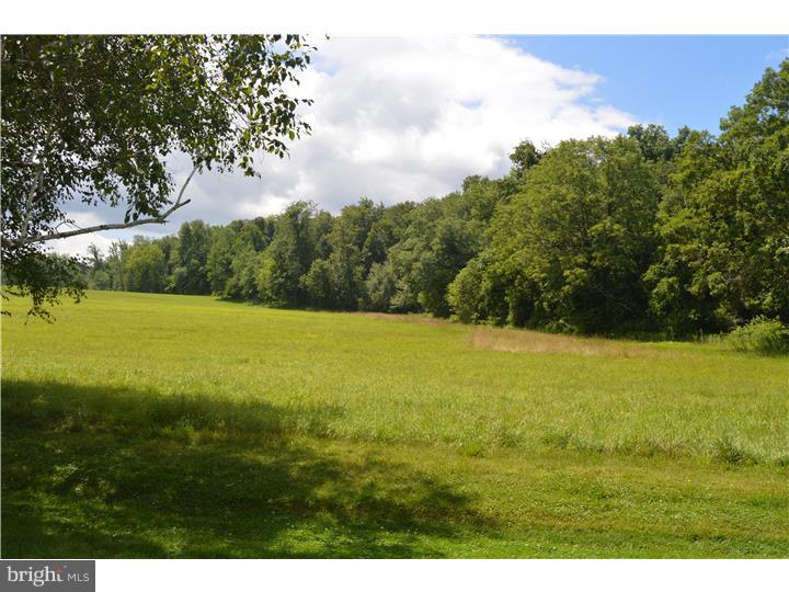 504 Old River Road Birdsboro, PA 19508 - Photo 16 of 22 View in Back