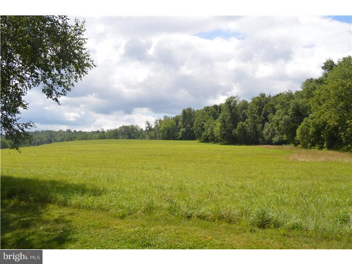 504 Old River Road Birdsboro, PA 19508 - Photo 17 of 22 View in Back