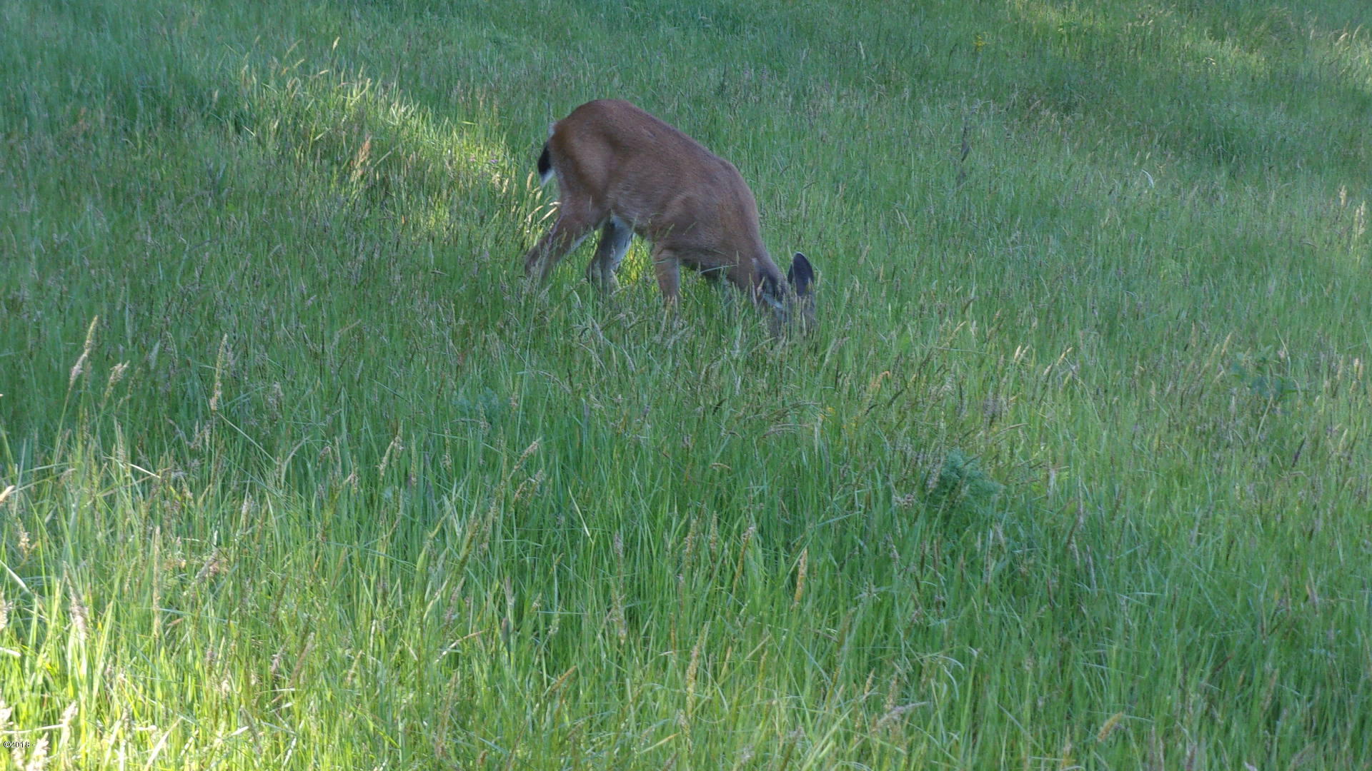 7 Brooten Mountain Road Pacific City, OR 97135 - Photo 14 of 14 Neighbor
