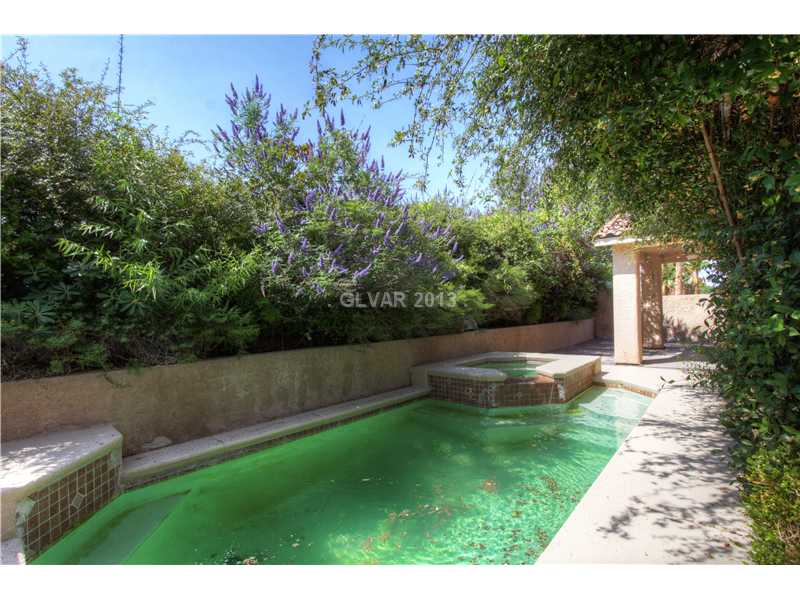 2973 Panorama Ridge Drive Henderson, NV 89052 - Photo 17 of 17 Swimming Pool/Hot Tub/Sauna.