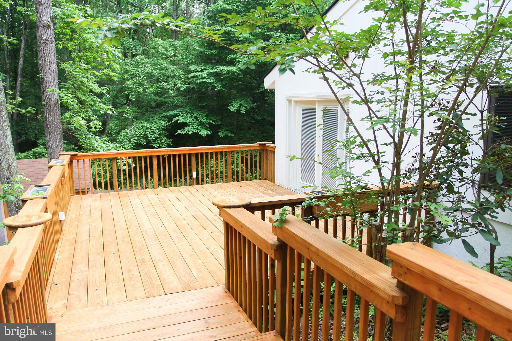 141 Sandy Ridge Road Fredericksburg, VA 22405 - Photo 24 of 26 Exterior (General)