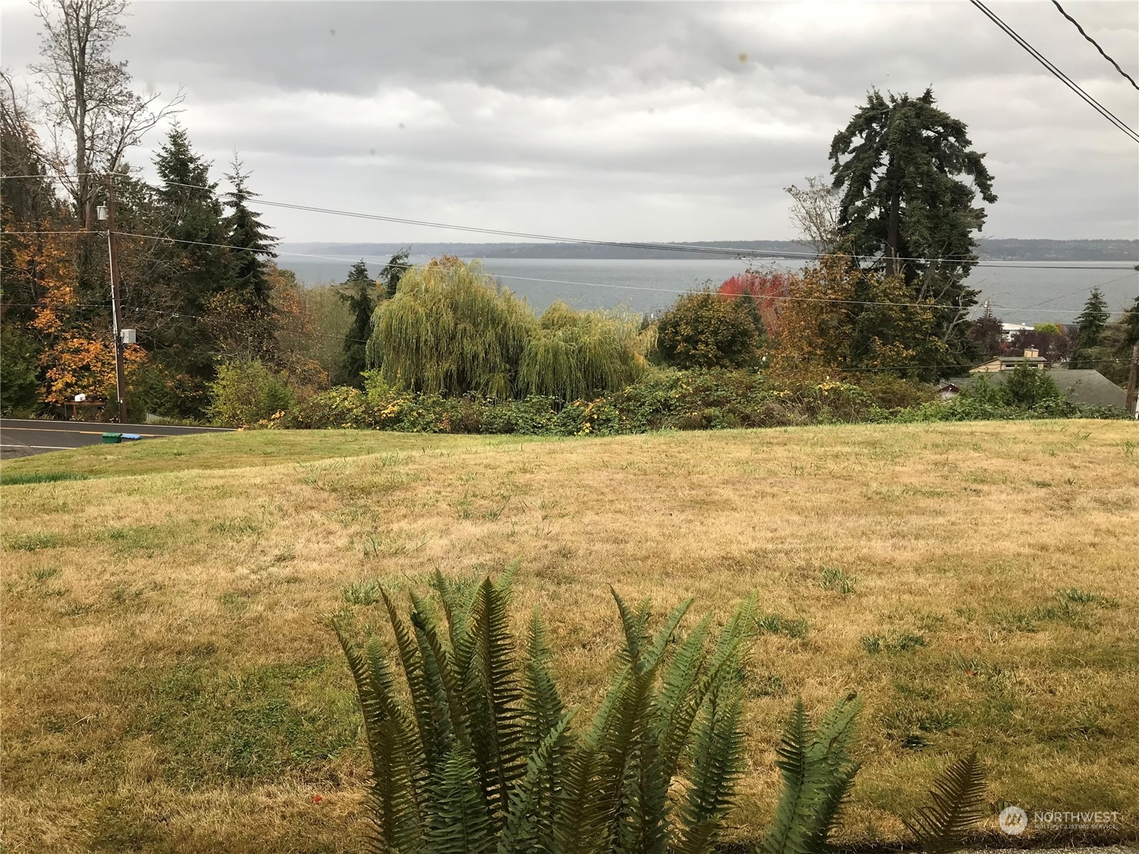 22817 Jefferson Point Road Northeast Kingston, WA 98346 - Photo 22 of 24 a view of yard with swimming pool and green space