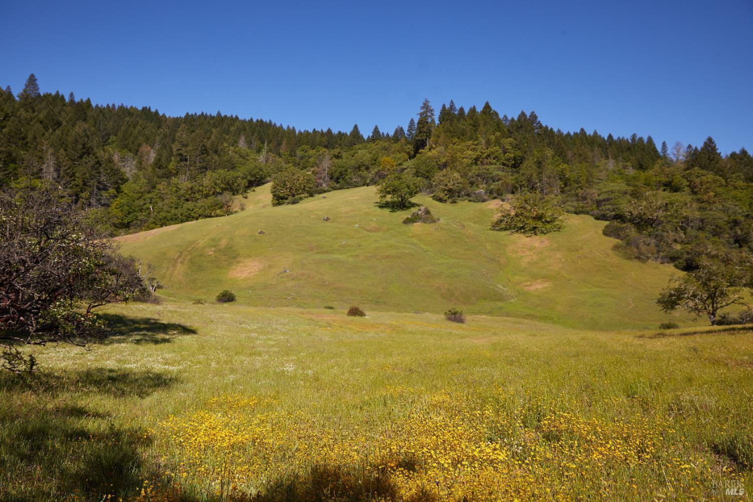 18574 Tomki Road Willits, CA 95490 - Photo 24 of 25 a view of ocean