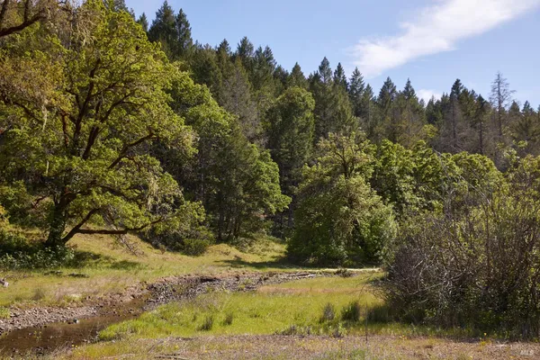 $995,000 | 18574 Tomki Road, Willits, CA 95490