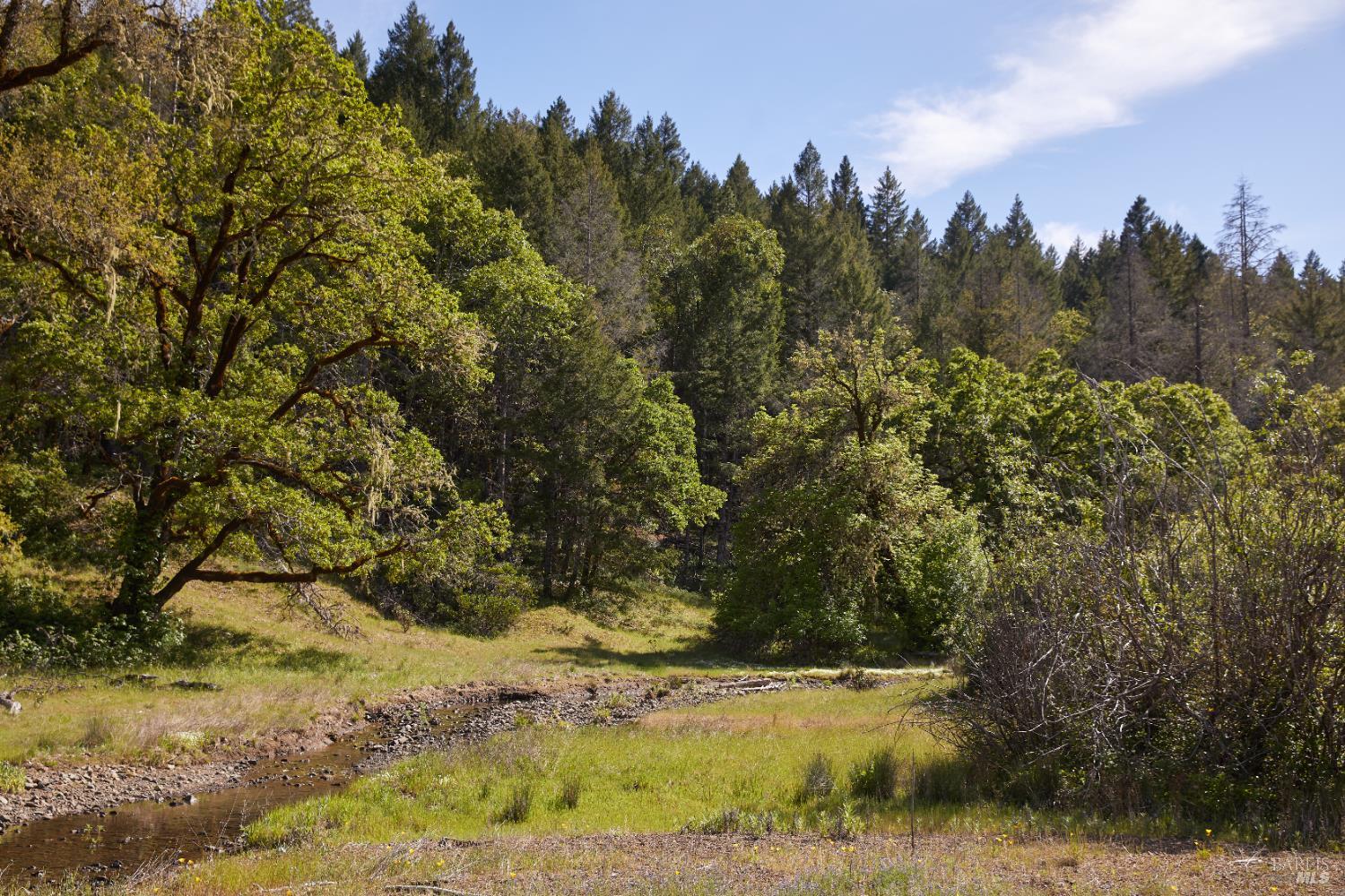 18574 Tomki Road Willits, CA 95490 - Photo 25 of 25 a view of a yard with a tree